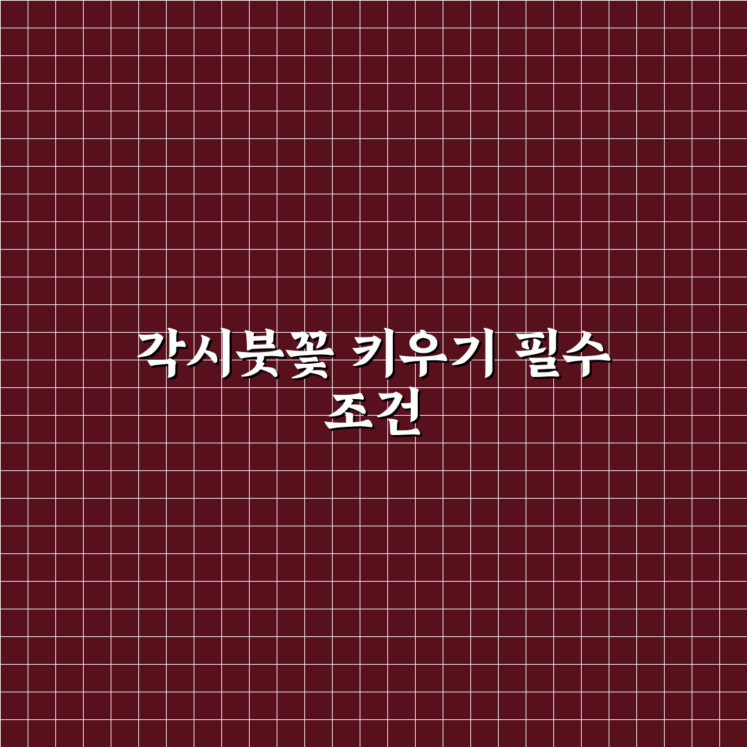각시붓꽃 키우기 5가지 기준과 필수 체크포인트 총정리