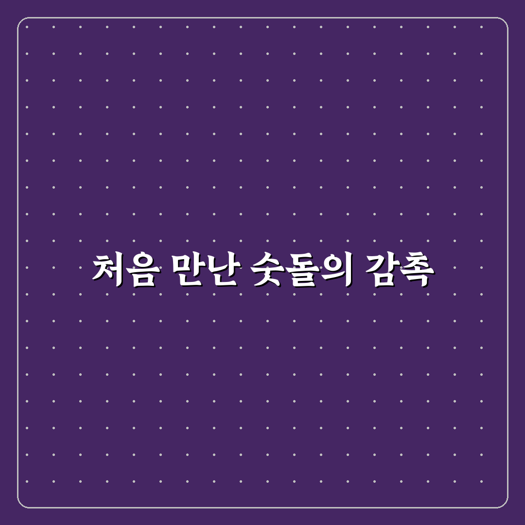 주방 칼 연마용 숫돌 올바른 사용법 직접 써본 후기