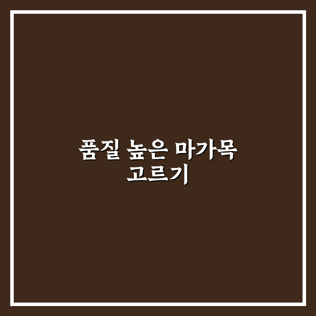 말린 마가목 선별 가이드와 품질 비교 기준 총정리