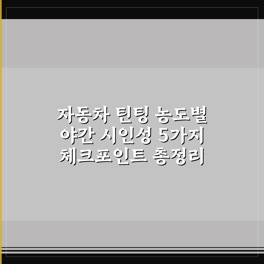 자동차 틴팅 농도별 야간 시인성 5가지 체크포인트 총정리