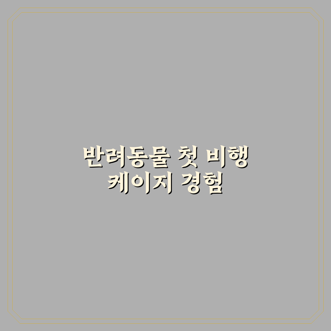 반려동물 동반 비행기 케이지 규정 직접 써본 후기
