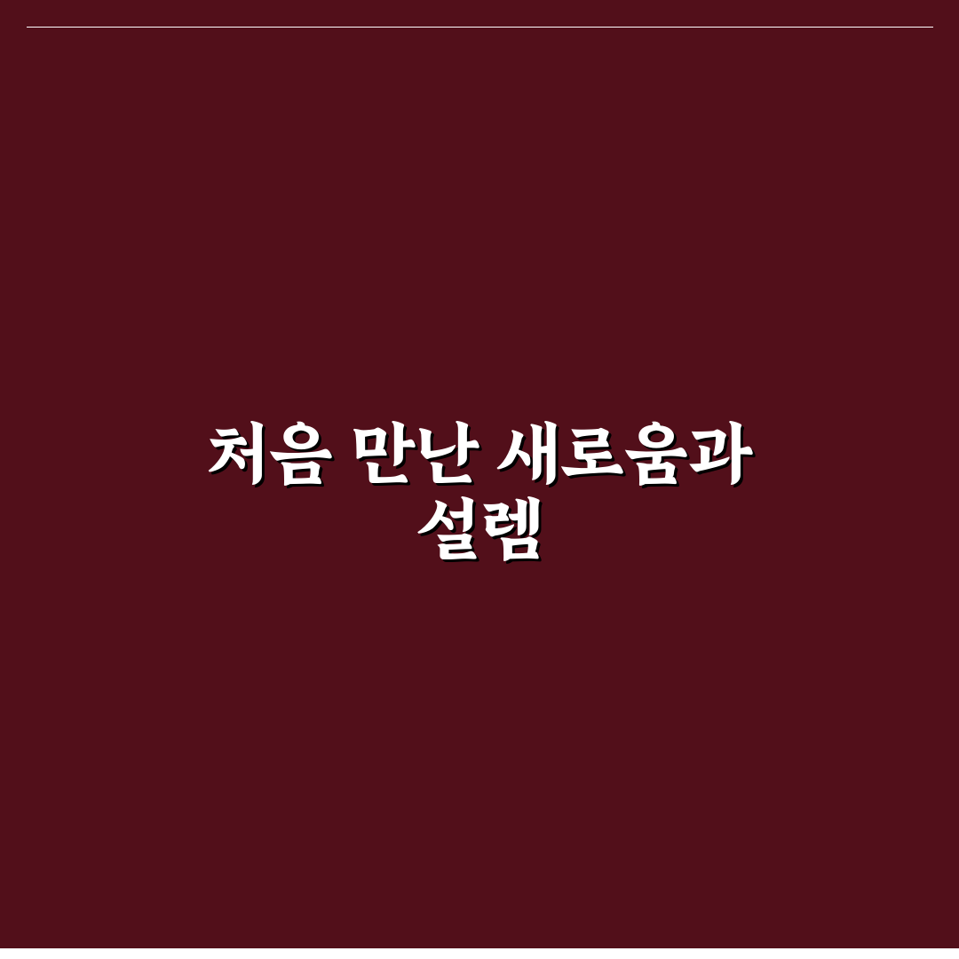 독서 기록 앱 기능 비교 직접 써본 후기를 공유합니다