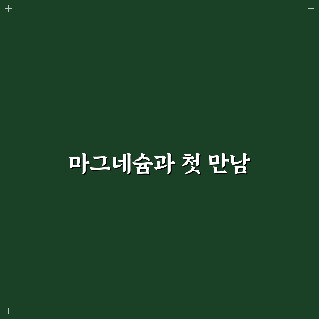 마그네슘 형태별 흡수율 차이 직접 써본 후기