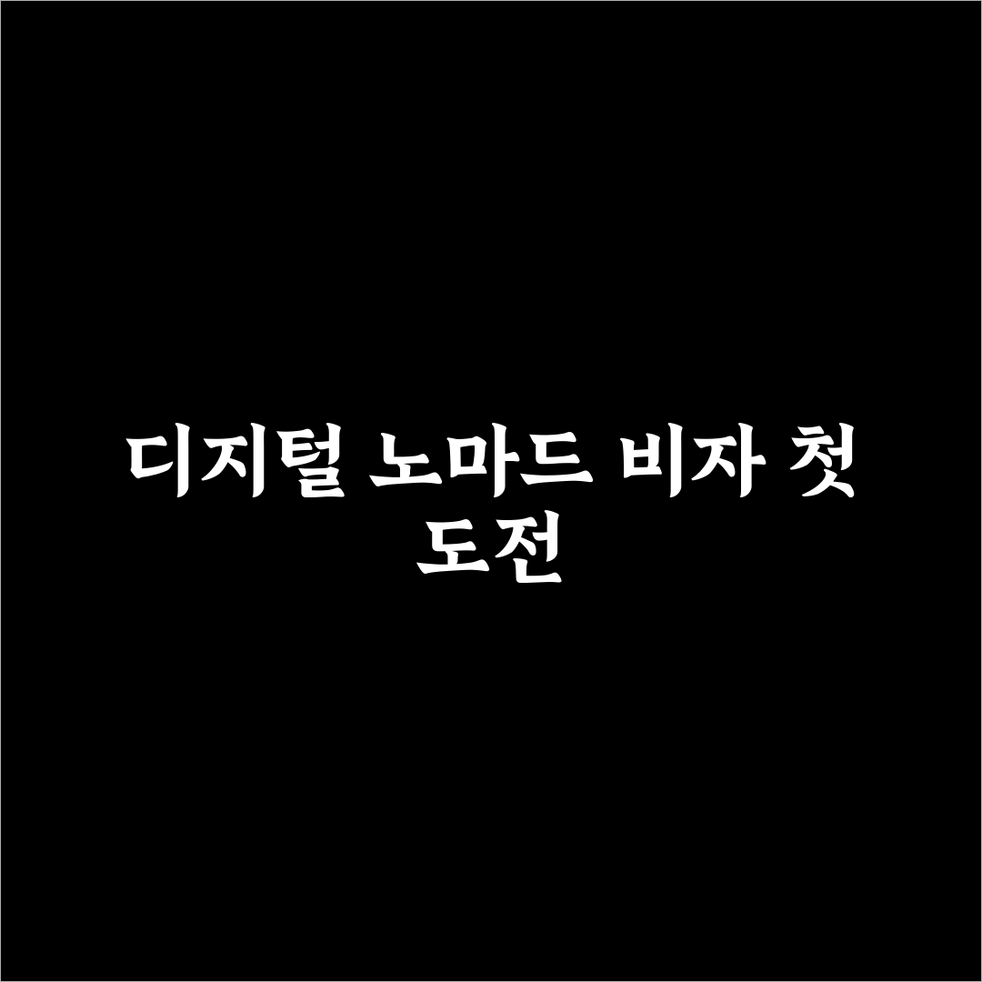 디지털 노마드 비자 발급 국가 직접 써본 솔직후기