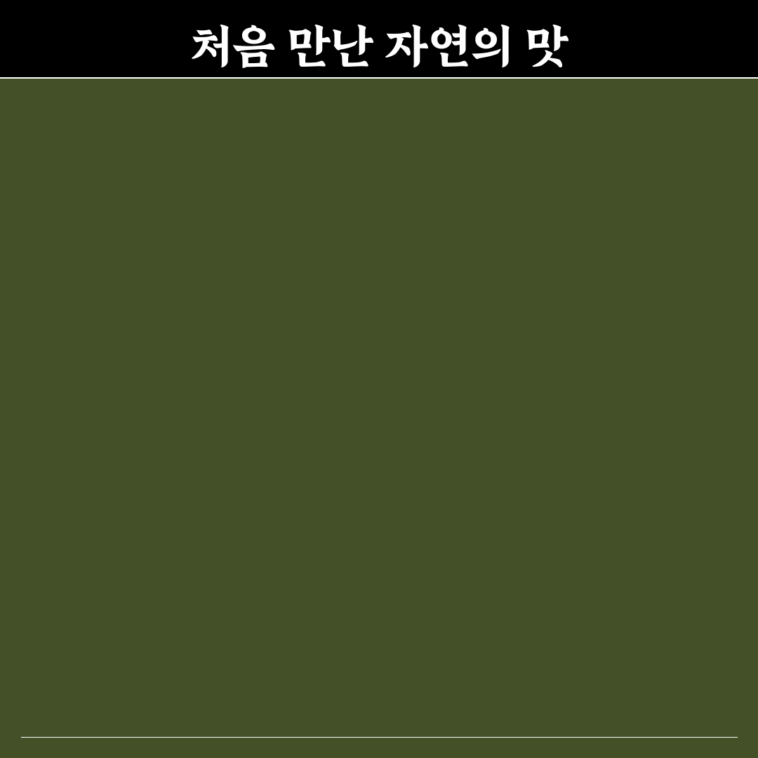 구절초 조청 직접 써보니 달콤함과 효능은 어땠을까