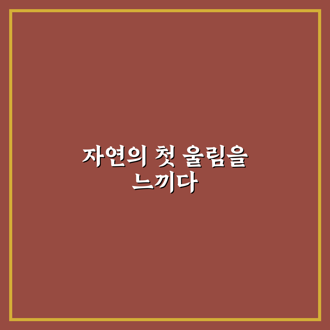 뻐꾸기 소리 듣기 체험기, 직접 가보니 신기했던 점