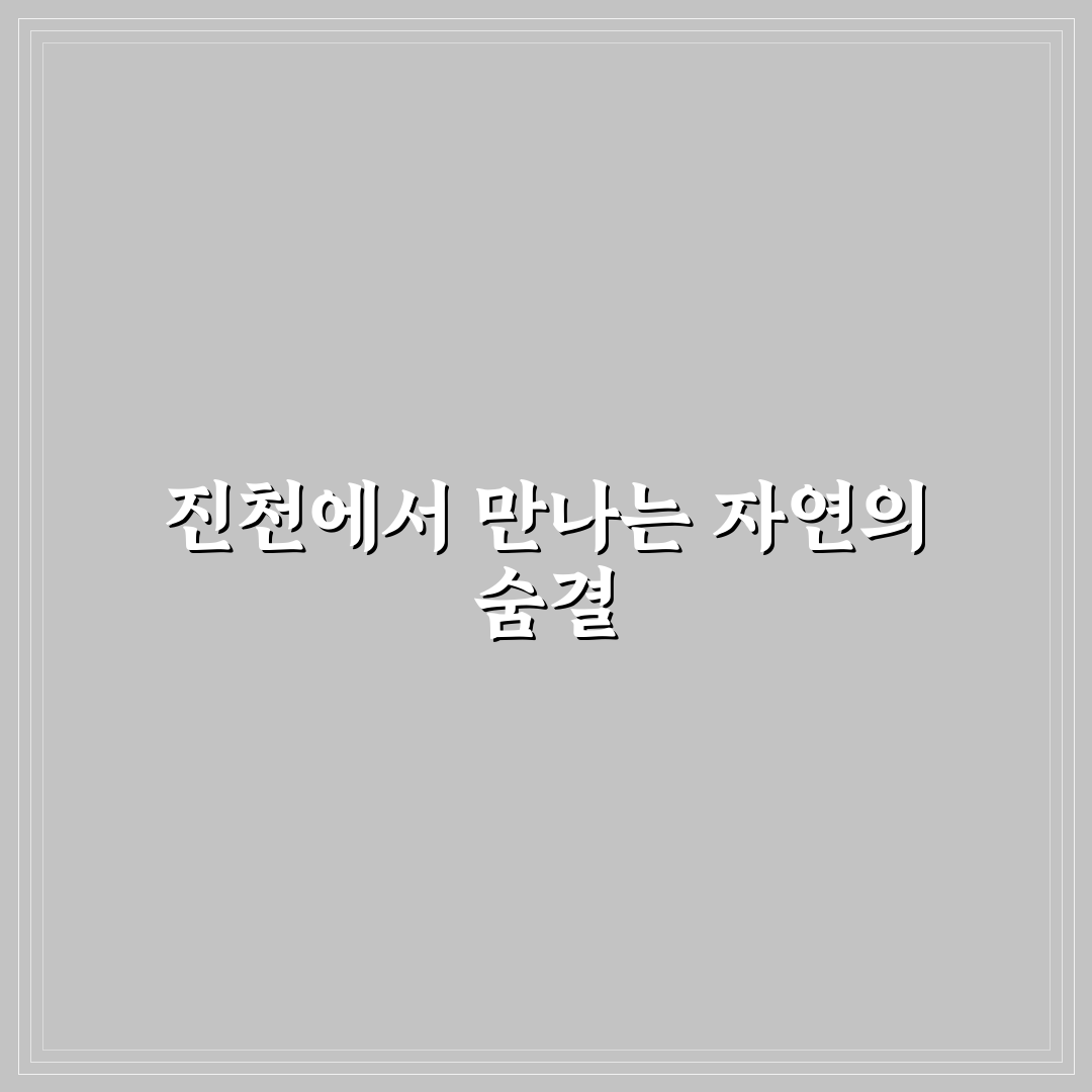 충북 진천 이팝나무길 방문 후기, 봄 풍경 직접 느껴보니