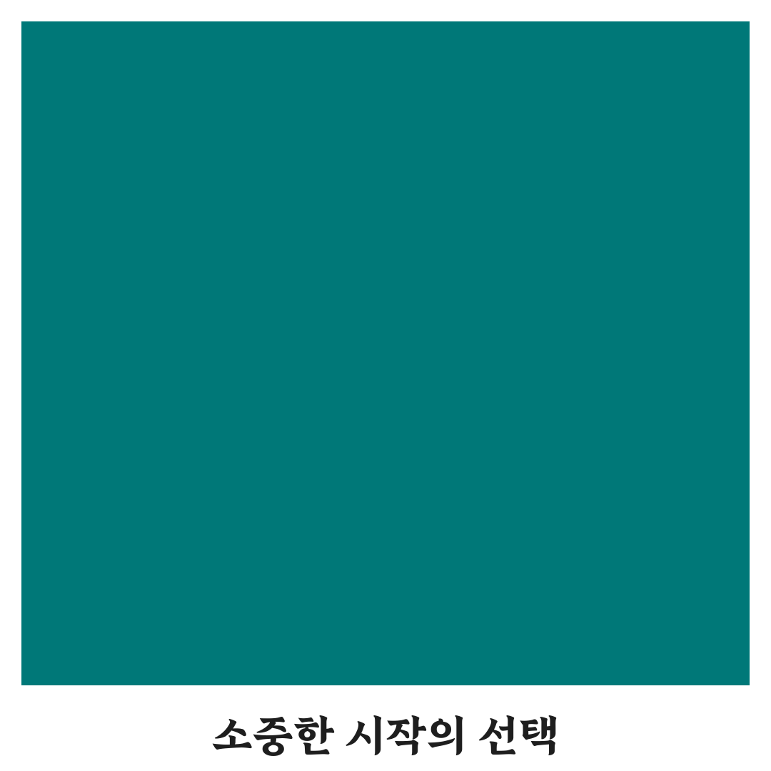 로벨리아 꽃다발 사용 후기, 직접 써보니 느낌은