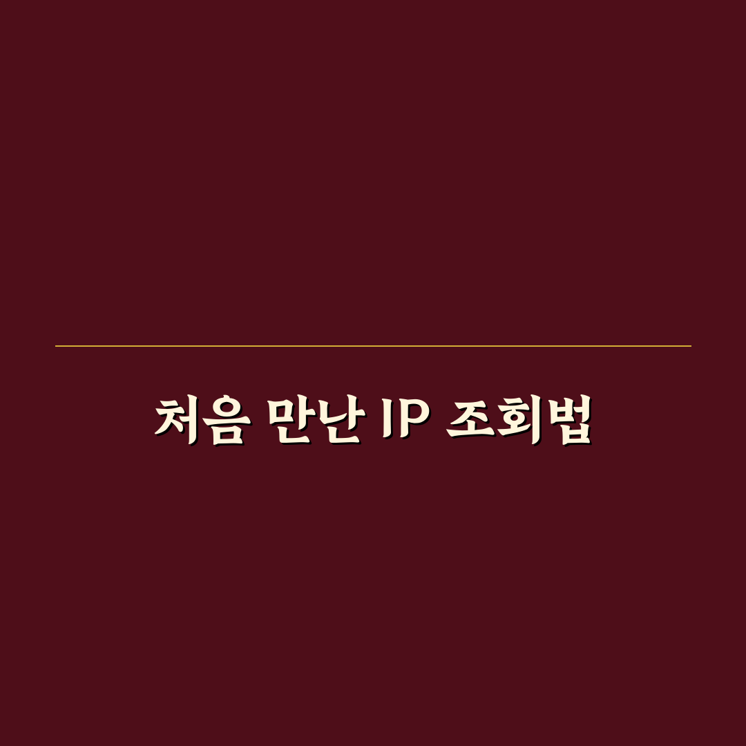 아이피 주소 조회 직접 이용해보니 알게 된 점들