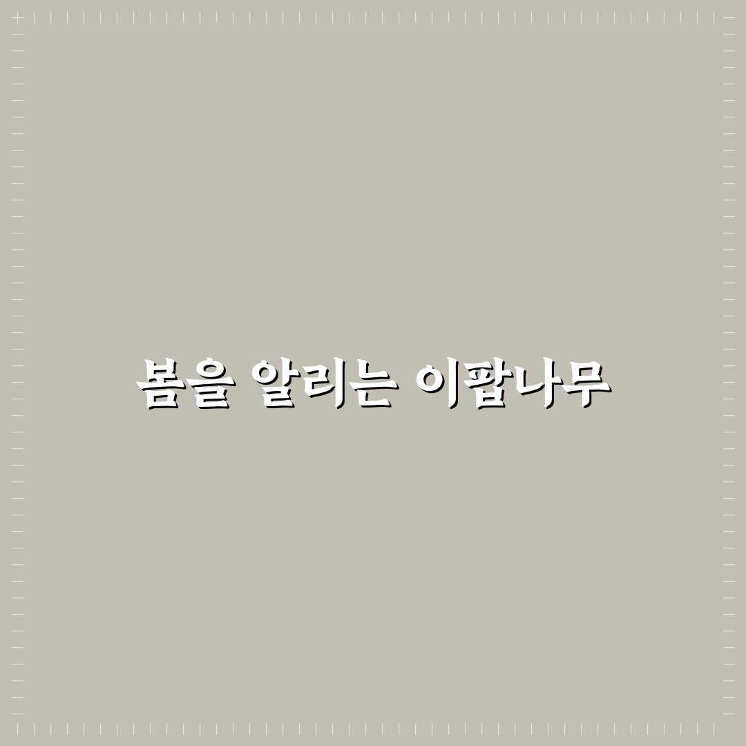 이팝나무 개화시기 직접 알아보니 시기별 변화가 궁금했다
