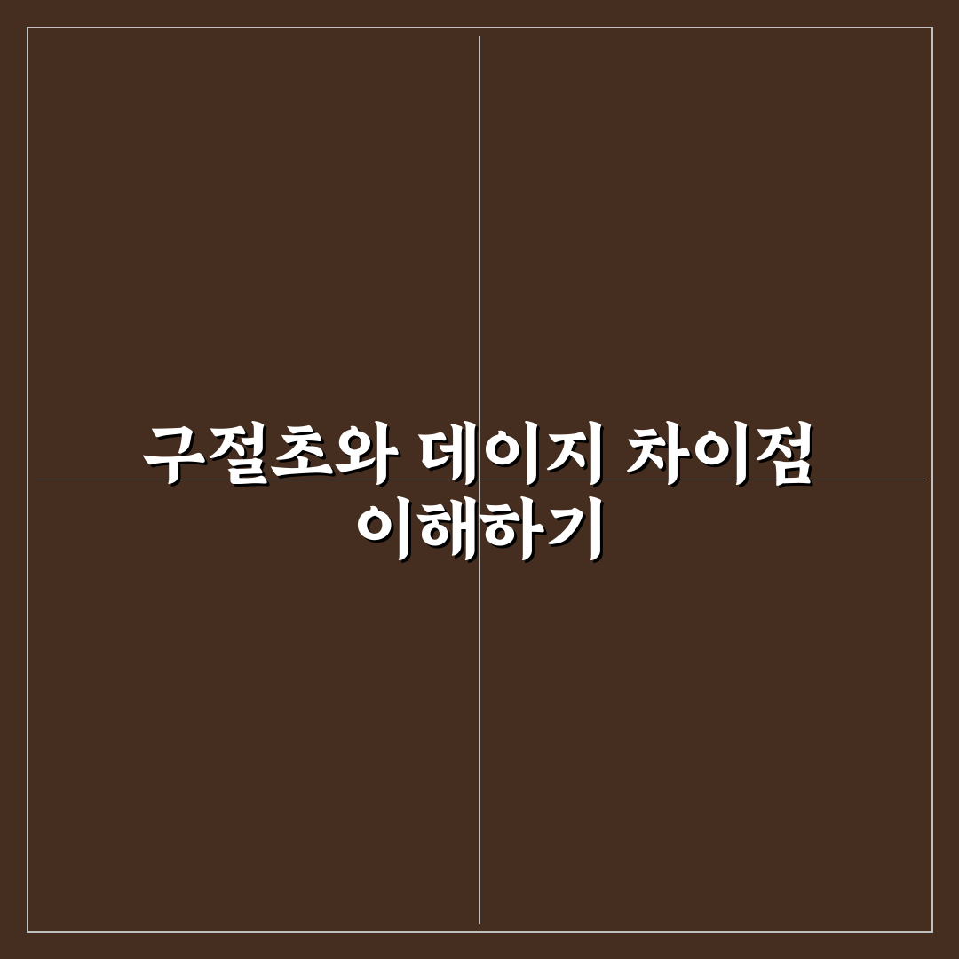 구절초 데이지 차이 5가지 기준 비교와 분석 가이드