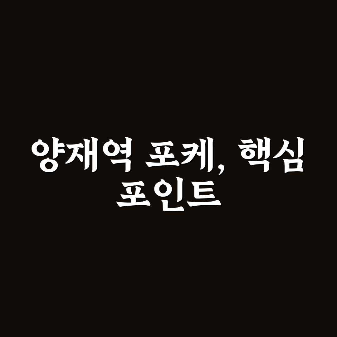 양재역 포케 맛집 5가지 비교 분석 가이드