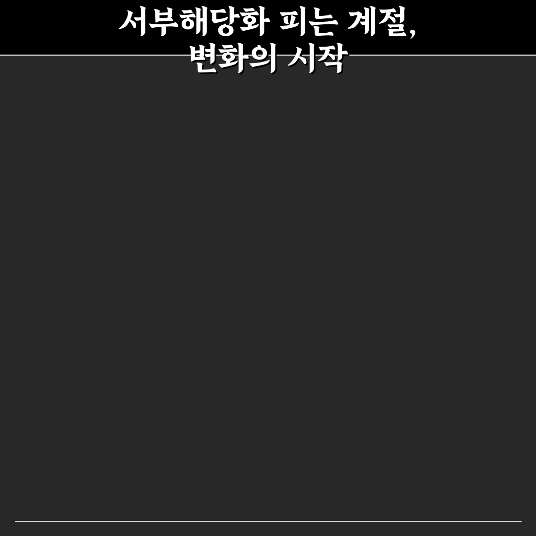 서부해당화 개화시기 비교와 지역별 특징 분석 총정리