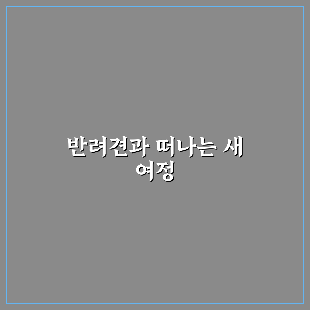 반려견 동반 가능 펜션 예약 앱 사용후기와 실제 경험담