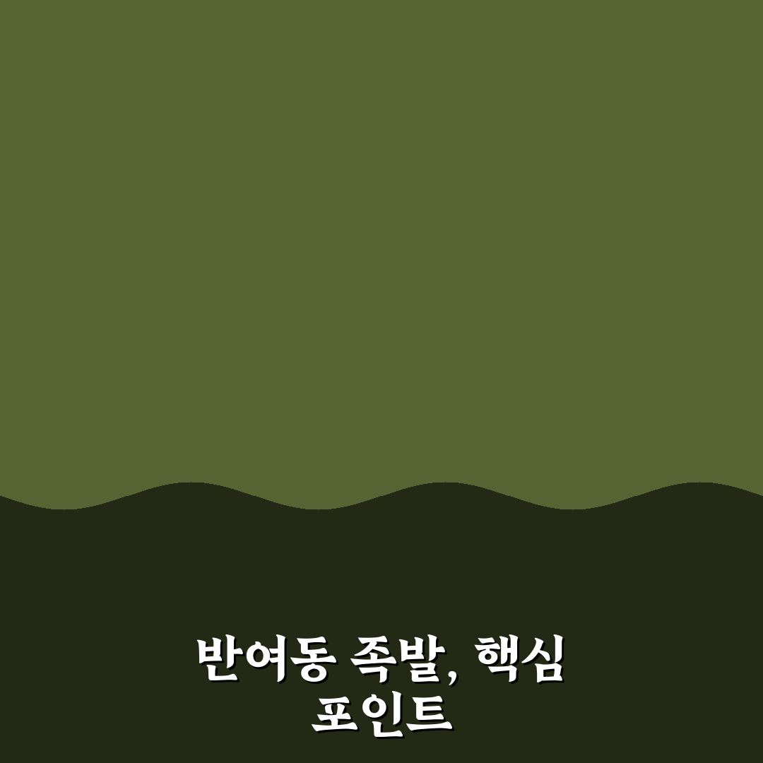 반여동 족발 맛과 가격 비교 5가지 기준 총정리