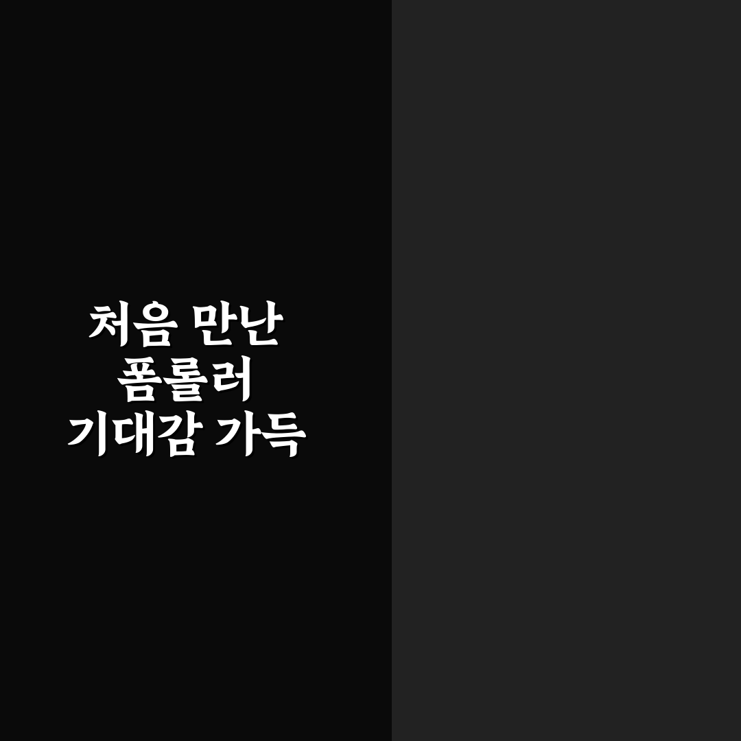 폼롤러 전신 스트레칭 루틴 직접 써본 후기와 효과 분석