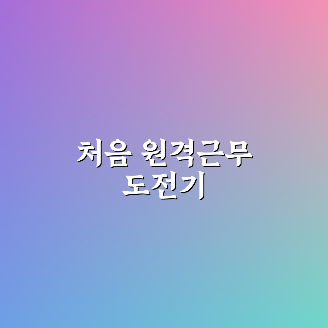 디지털 노마드 해외 원격근무 비자 직접 써본 후기