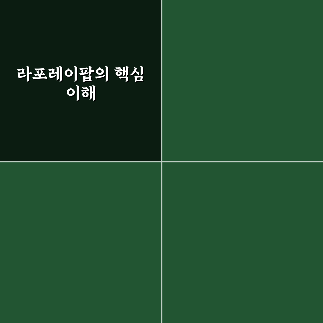 라포레이팝 비교와 분석을 통한 선택 기준 총정리