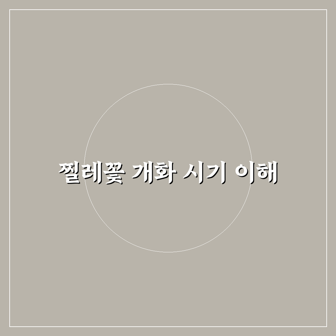 찔레꽃피는시기 비교와 3가지 체크포인트 총정리