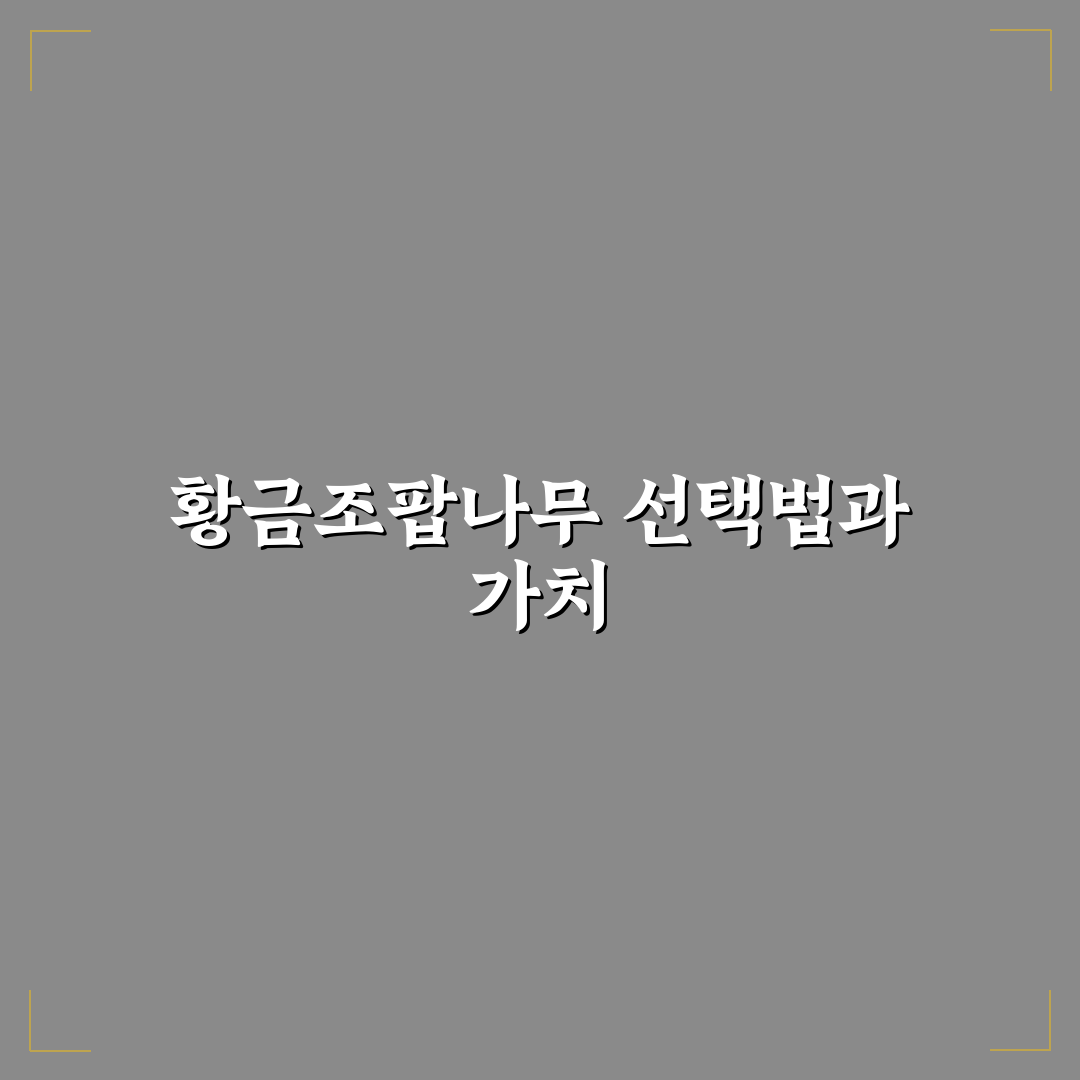 황금조팝나무 묘목 선택 5가지 기준과 성장 분석