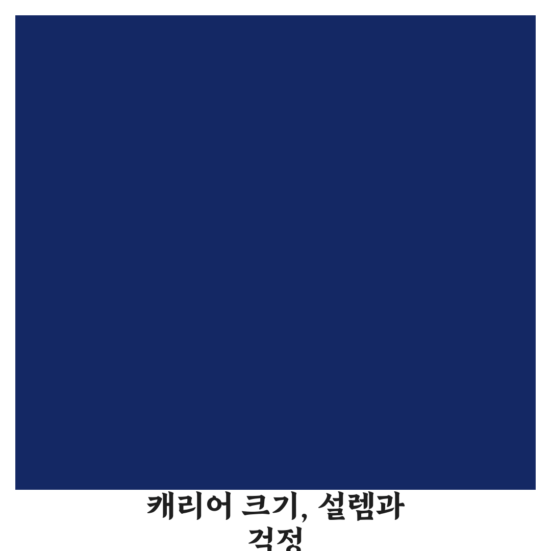 기내 반입 캐리어 사이즈 규정 직접 써본 솔직후기
