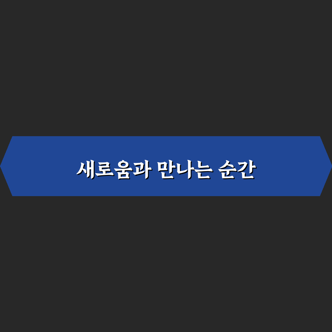 지식의 발견 직접 경험하며 느낀 변화 후기