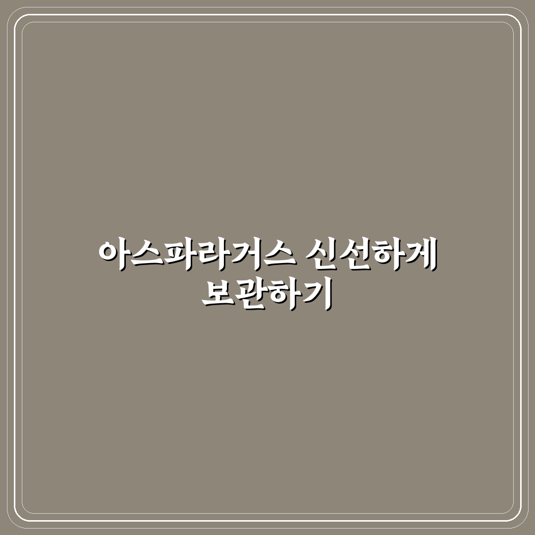 아스파라거스 냉동보관법 5가지 기준별 비교와 분석
