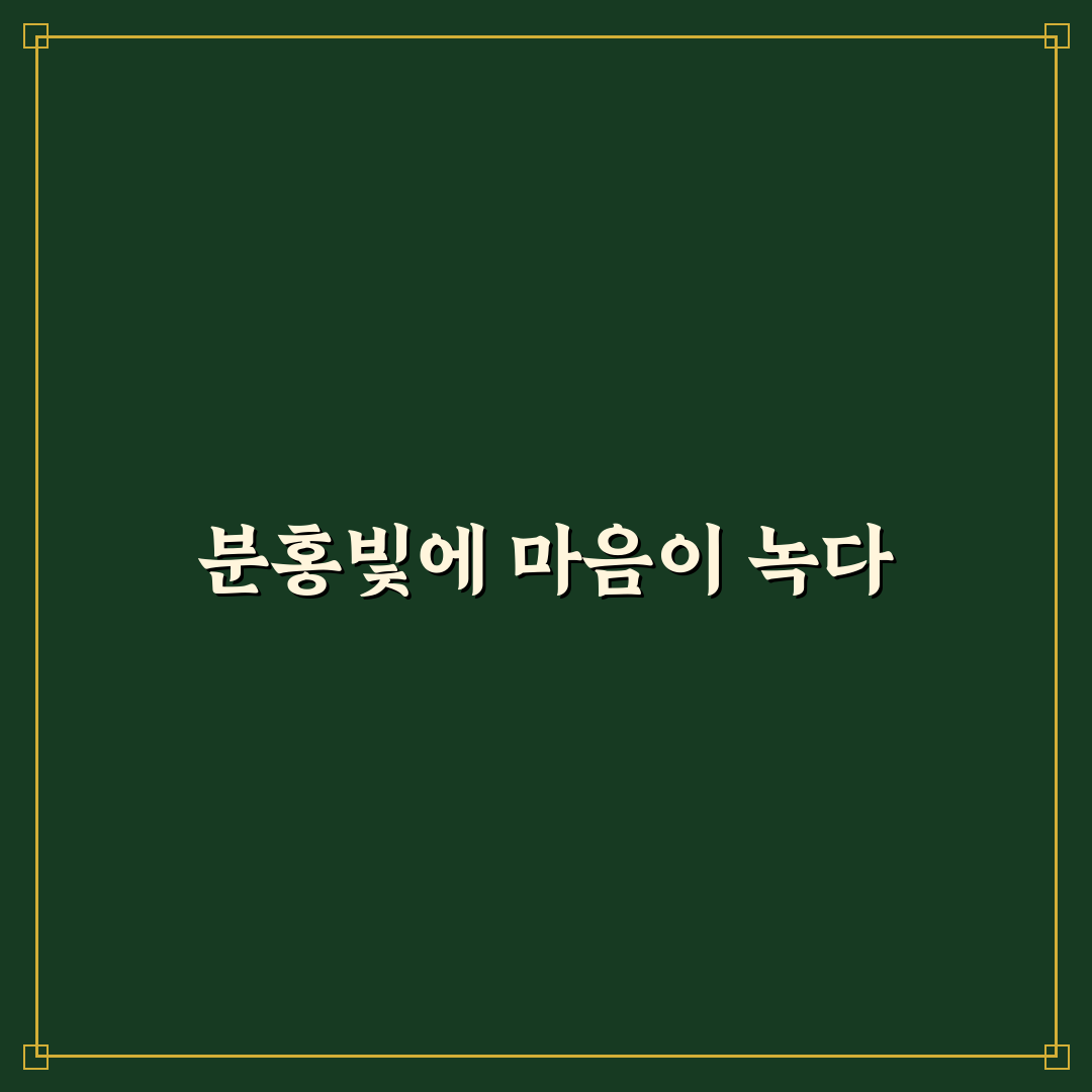분홍 튤립 꽃말, 직접 알아보니 뜻이 이렇게 다르네요