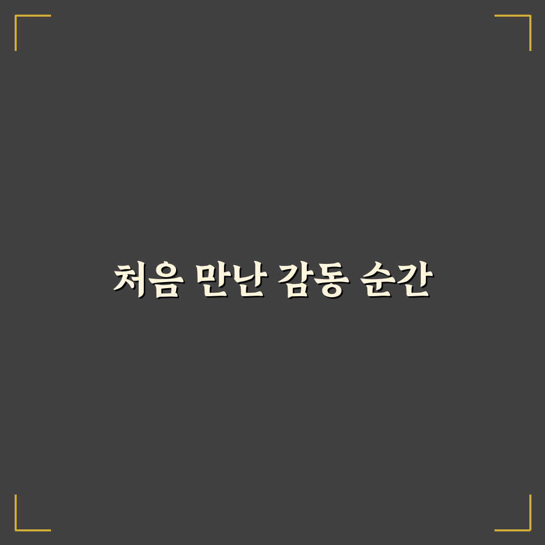 천호역 버거킹 방문 후기, 매장 분위기와 음식 맛은?