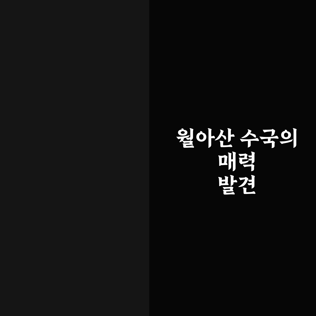 월아산 수국 페스티벌 5가지 체크포인트 비교와 분석