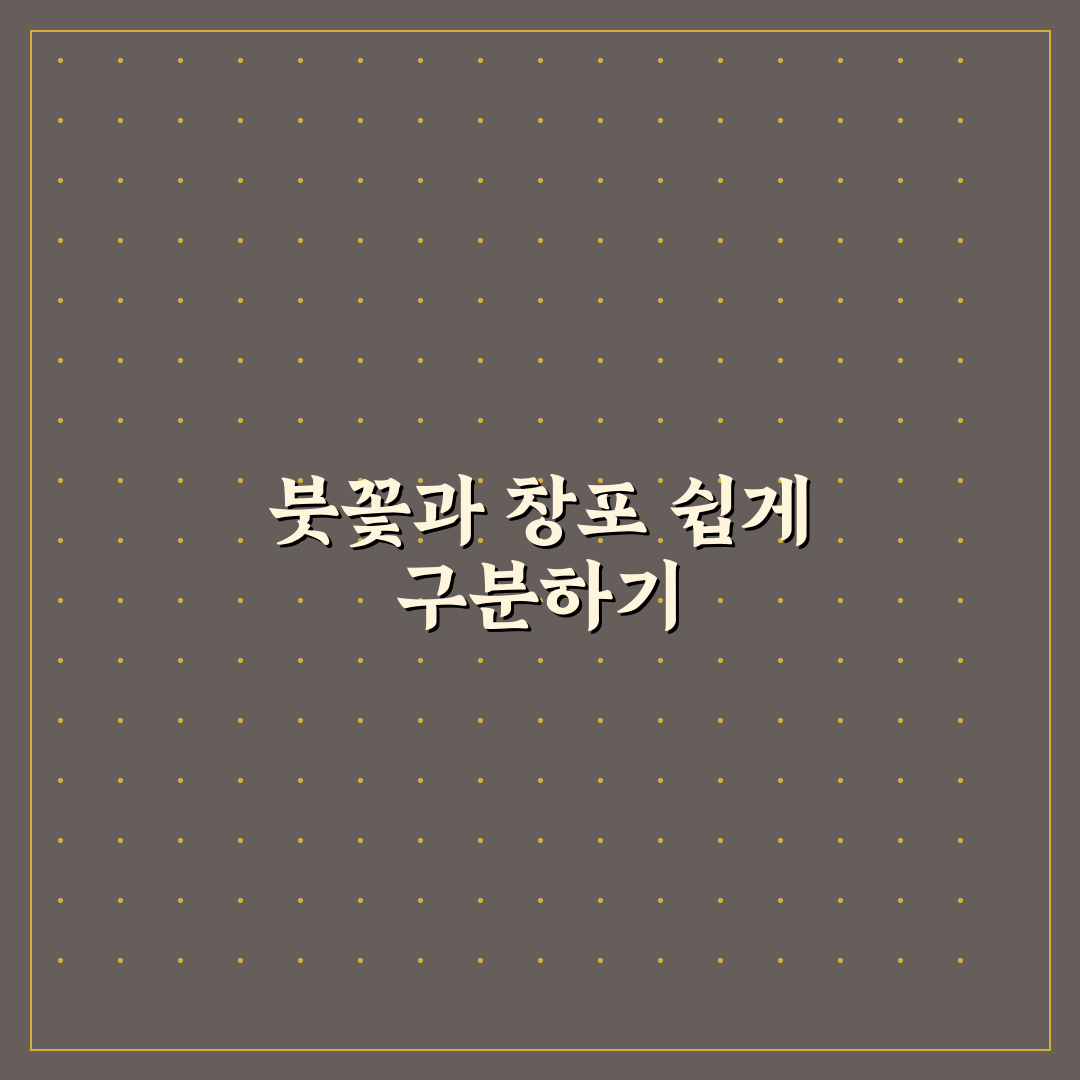 붓꽃과 창포꽃 차이점 5가지 비교와 판단 기준 총정리