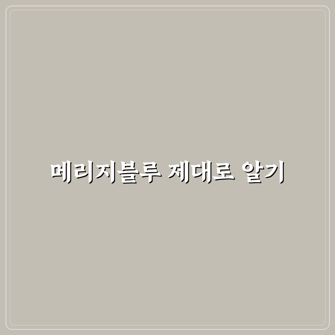 메리지블루 극복 가이드와 주요 체크포인트 분석