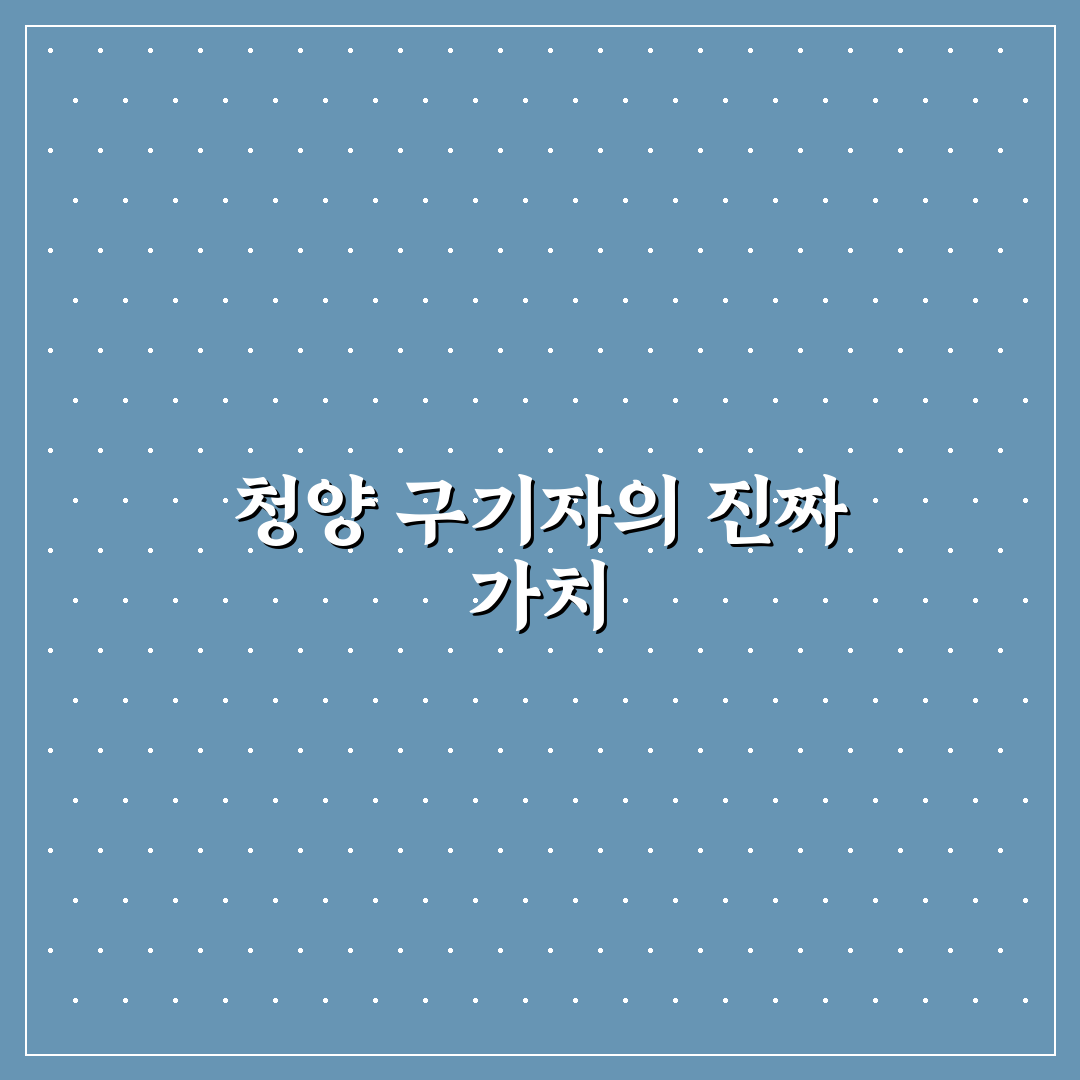 청양 구기자 가루 선택 기준과 효능 비교 분석 가이드