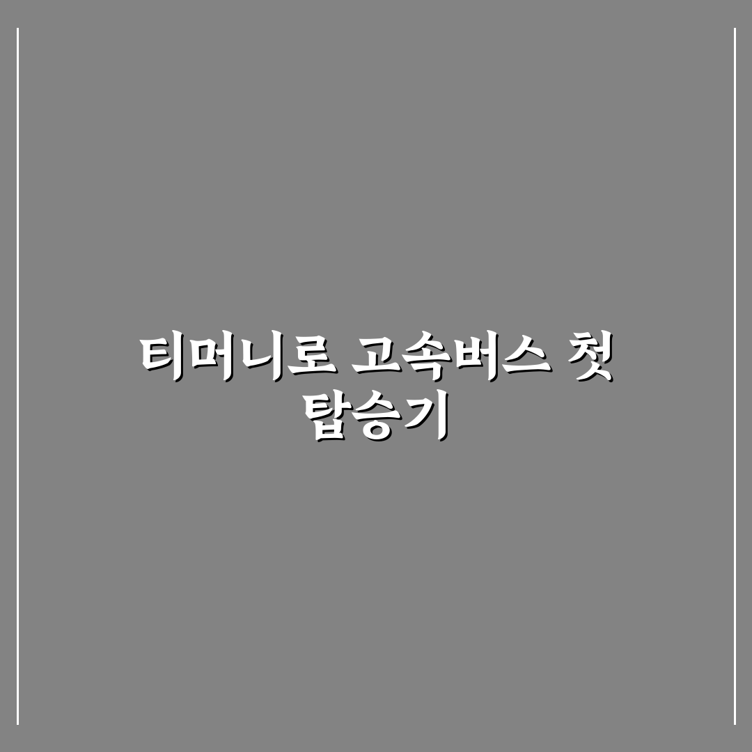 티머니 고속버스 취소 수수료 직접 알아보니 불편한 점