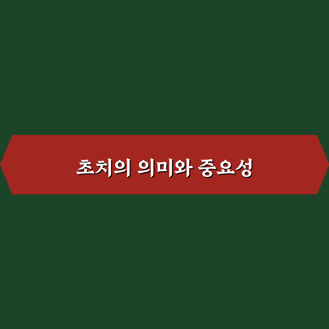 초치 뜻과 용례 분석으로 이해하는 5가지 체크포인트