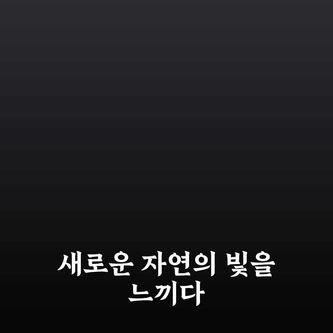 교항리 이팝나무 군락지 방문 후기, 직접 가보니 느낀 점
