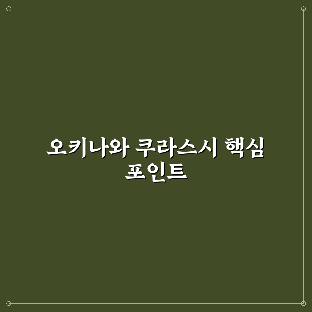 오키나와 쿠라스시 방문 전 알아야 할 5가지 판단 기준