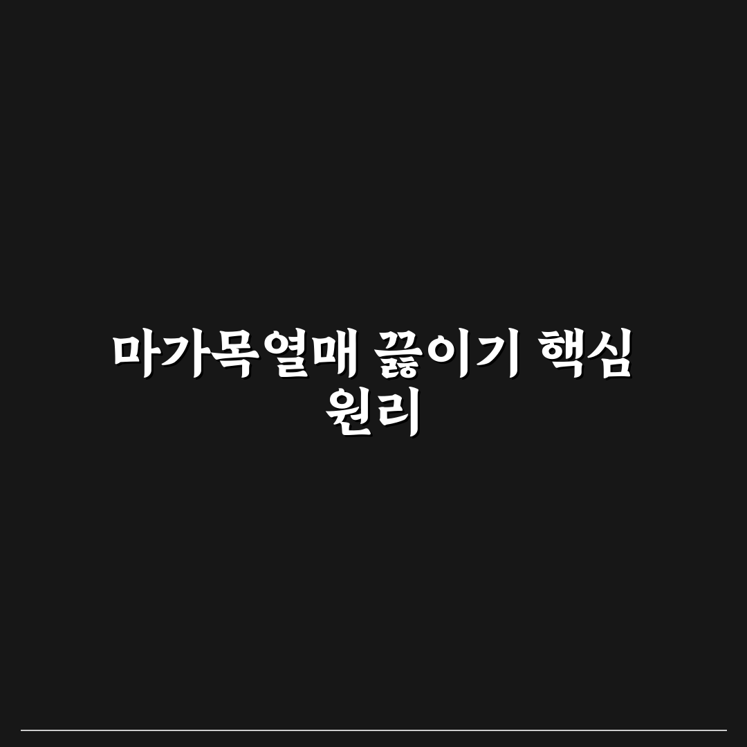 마가목열매 끓이는방법 5가지 기준별 비교와 분석
