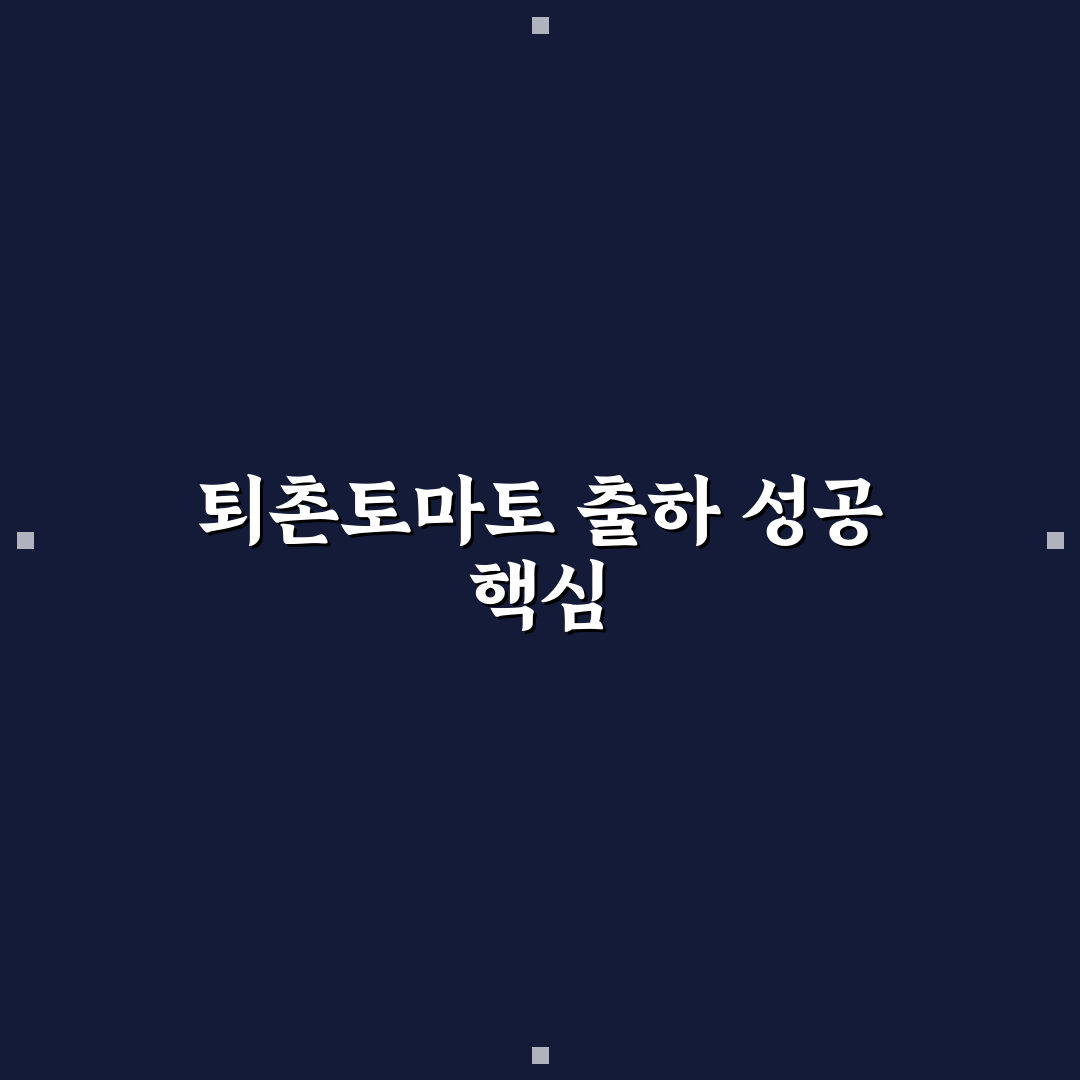 퇴촌토마토출하시기 시기별 준비 사항과 체크포인트 총정리