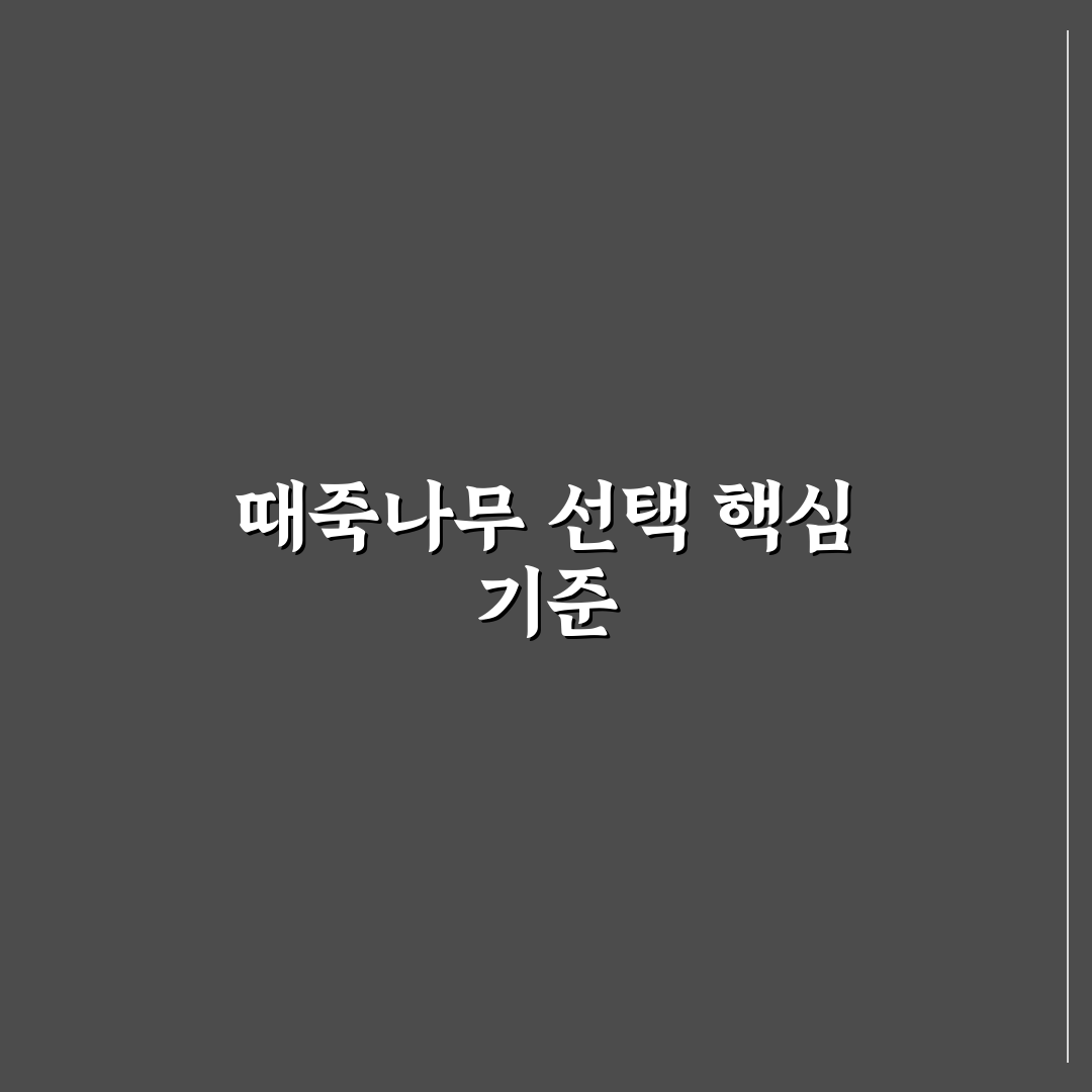 때죽나무 묘목 선택과 관리 5가지 기준 비교 분석