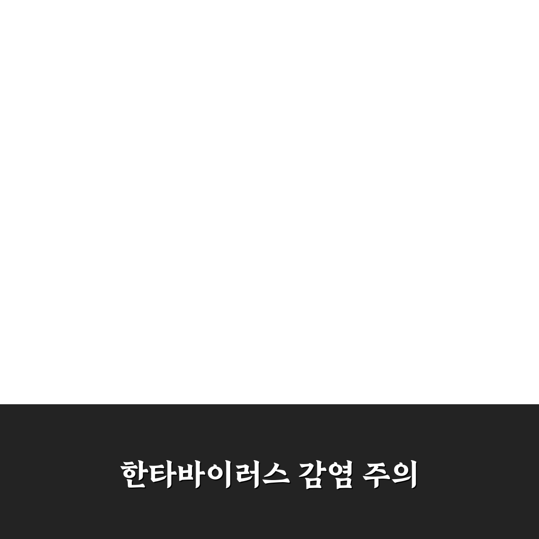 한타바이러스 유람선 감염 사례 비교와 예방 가이드