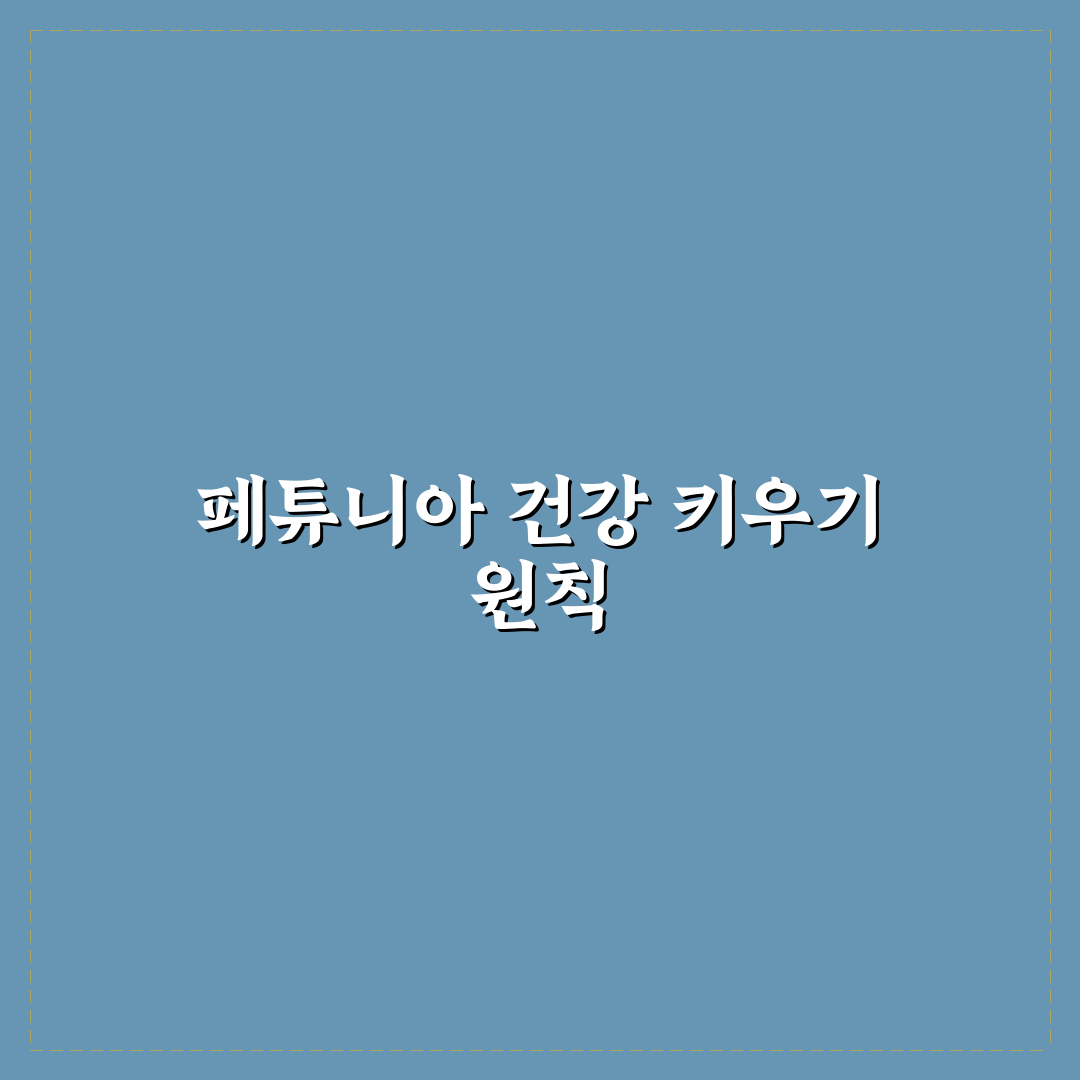 페튜니아 모종 선택 가이드와 성장 관리 체크포인트