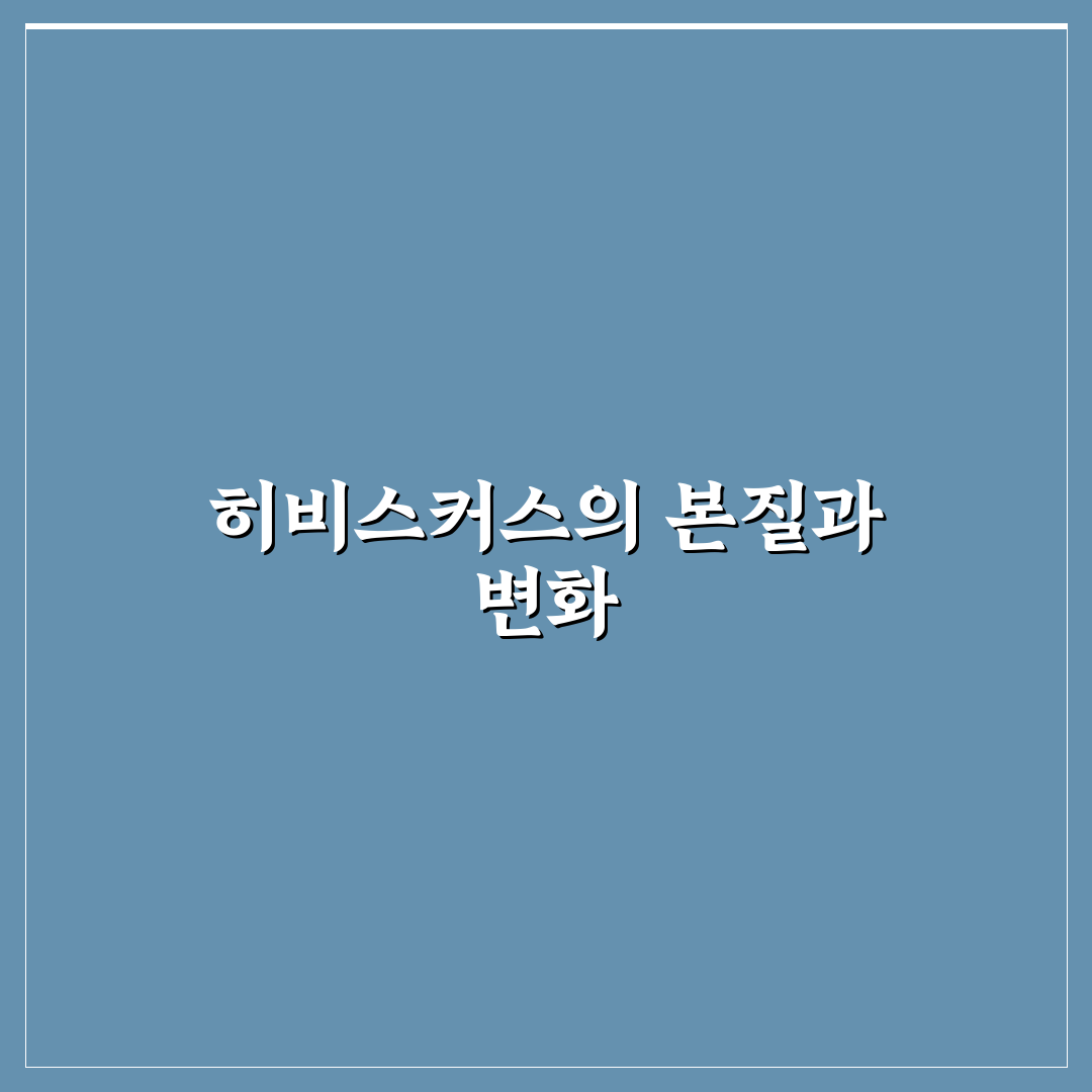 히비스커스 블룸 효과와 활용 5가지 기준 분석