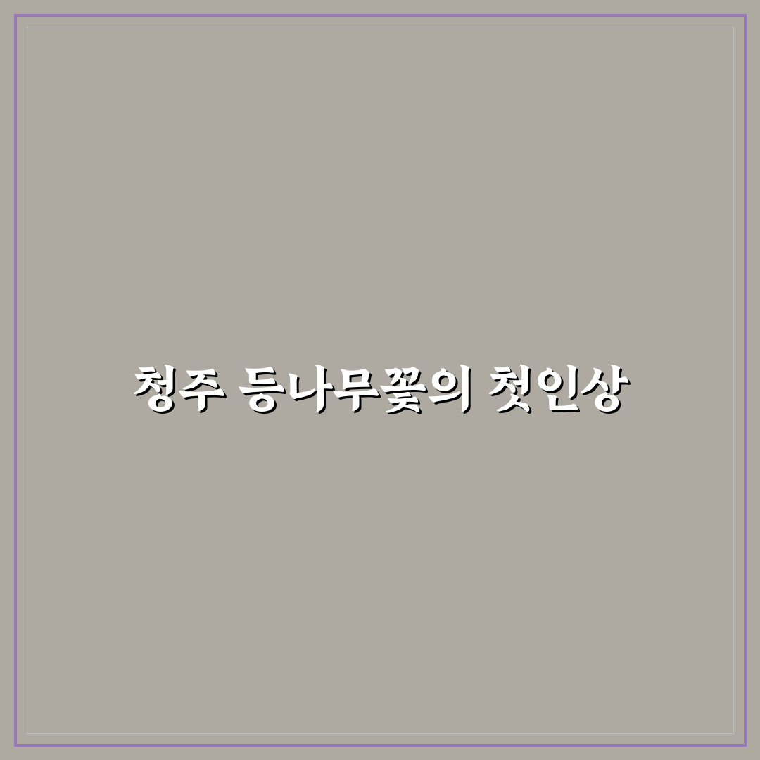 청주 등나무꽃 방문 후기, 직접 가보니 풍경과 향기