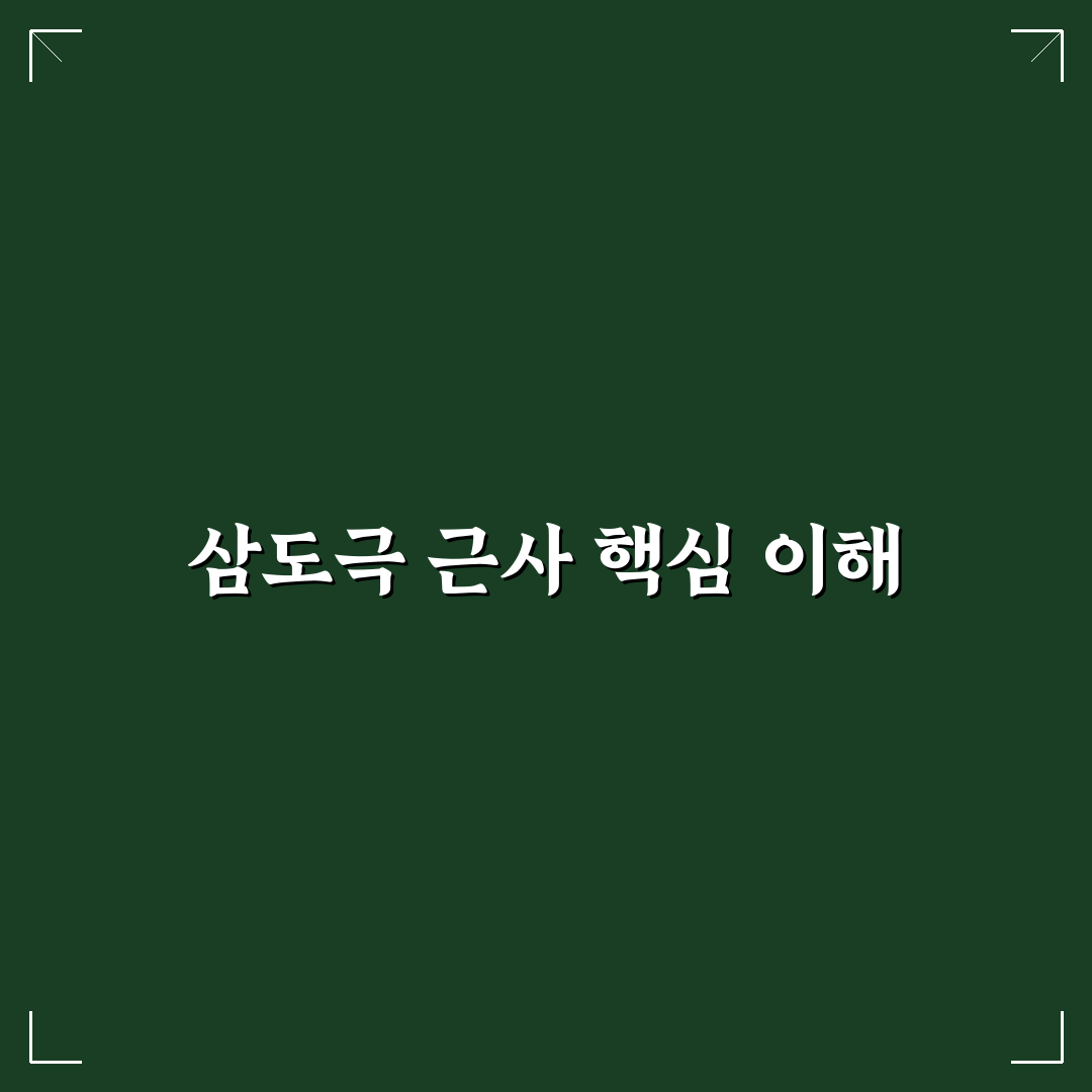 삼도극 근사 분석과 적용을 위한 5가지 체크포인트