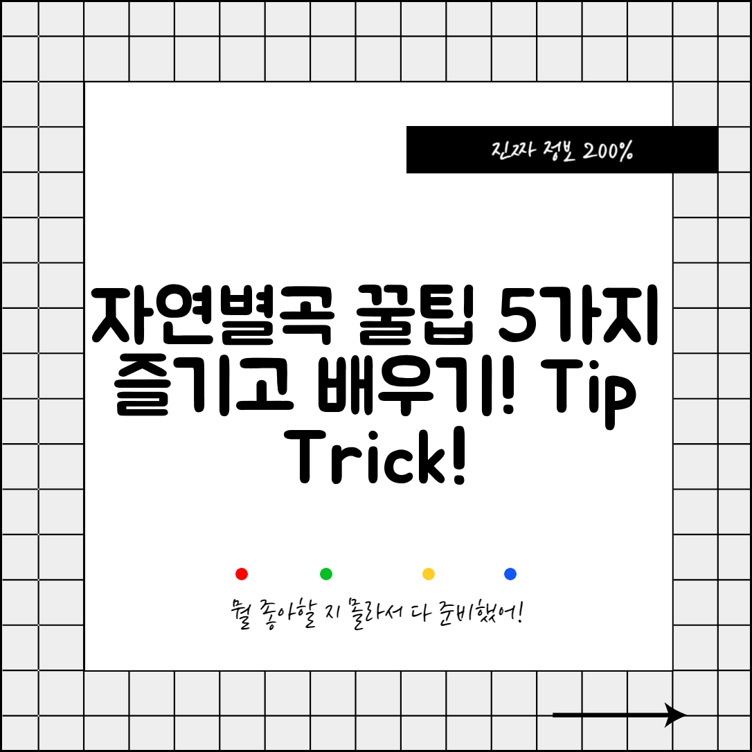 자연별곡으로 즐기는 꿀팁 5가지