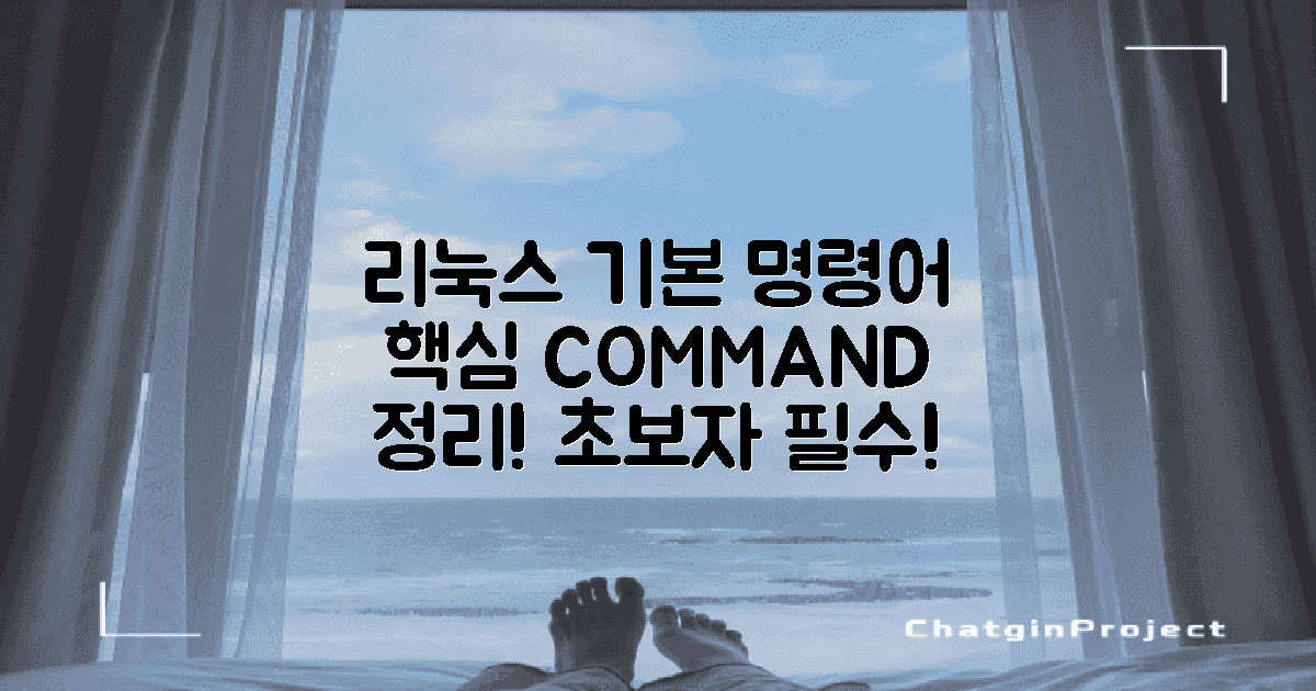 리눅스 기본 명령어 소개