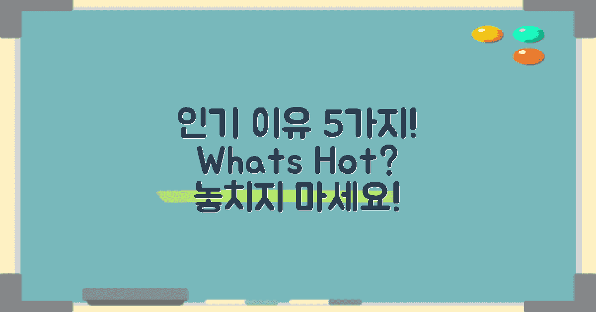 5가지 인기 이유