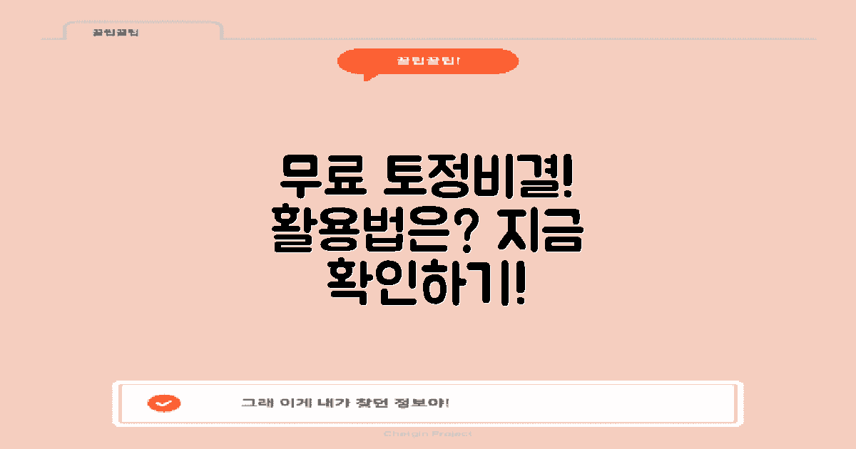 무료 토정비결, 어떤 활용법이 있을까?