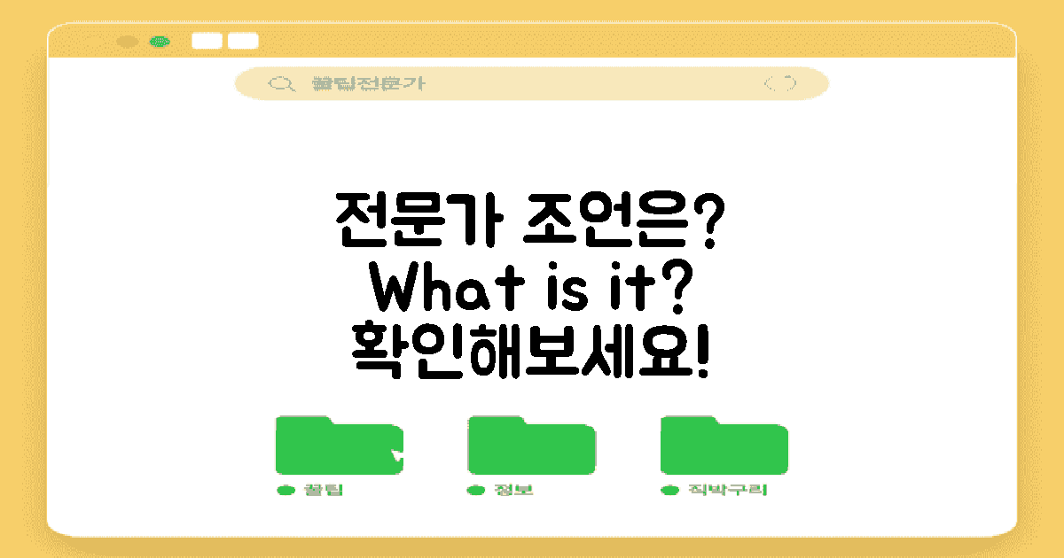 전문가 조언은 무엇일까?